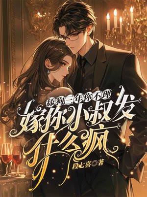 嫁你小叔发什么疯免费阅读