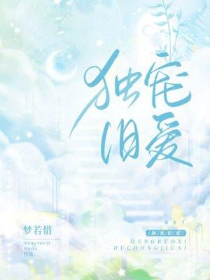 独宠旧爱陆少的秘密恋人番外