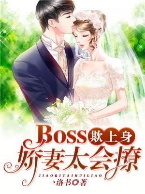 boss宠上瘾前妻抱一抱