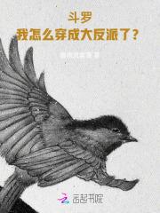 穿越到斗罗的我成了大反派起点中文网