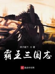 霸王三国志2MD