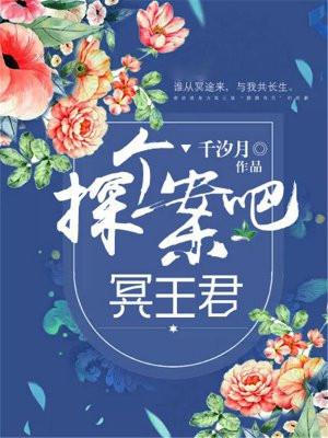 探案是啥