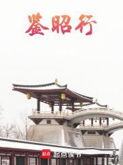 鉴昭行陆淮结局