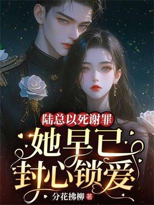 陆总gl