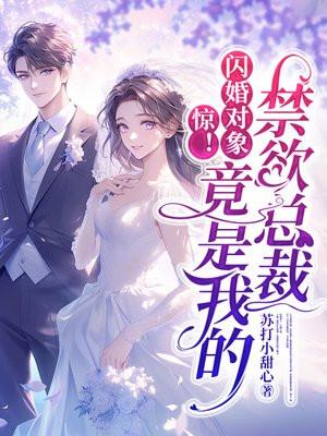 闪婚惊喜免费阅读