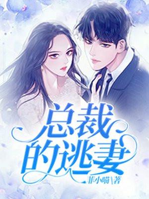 四国集团1首席总裁的逃妻