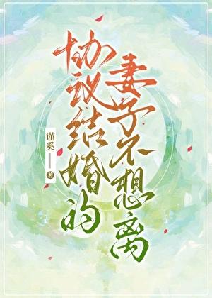 协议结婚的妻子不想离gl的背景故事