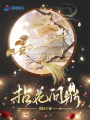 拈花问鼎风轻免费阅读