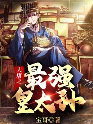 大唐之最强皇太孙TXT奇书网
