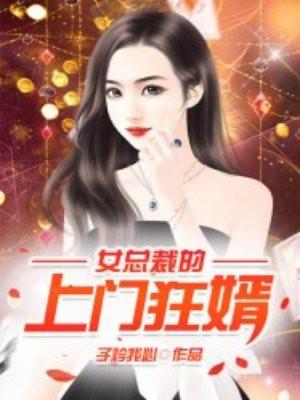 女总裁的上门女婿叶凡