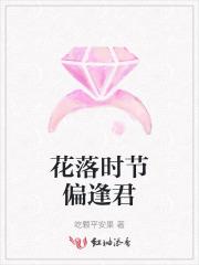 花落时节又逢君 电视剧