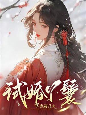 试婚丫鬟江书沈无妄