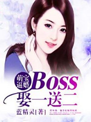 萌宝来袭boss娶一送二免费