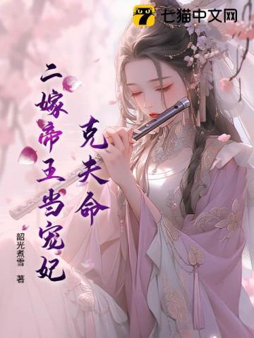 二嫁皇妃免费阅读