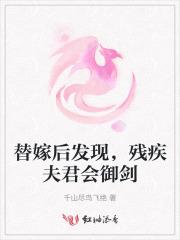 替嫁新娘残疾老公放肆宠