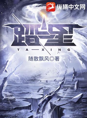 踏星陆隐几个妻子