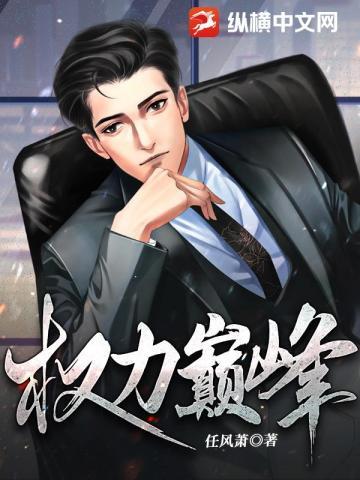 权力巅峰王洪涛