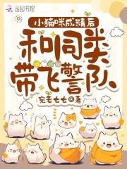 猫咪成精后怎么处理