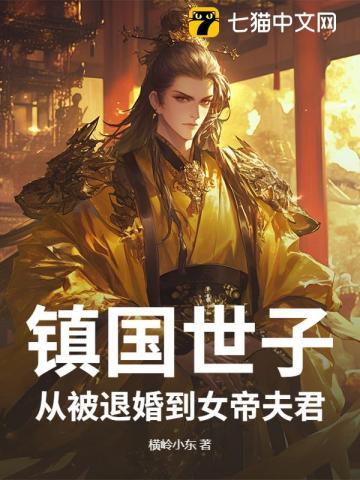 镇国公主 镇国公主