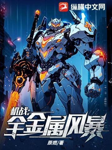 机战全金属风暴纵横
