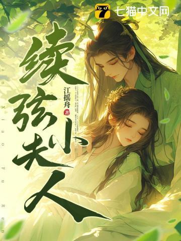 续弦小夫人免费阅读全文