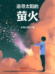 追逐太阳寻找美丽歌曲