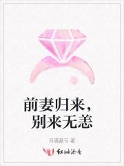 前妻别来无恙作者墨云归