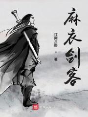 麻衣剑客境界划分