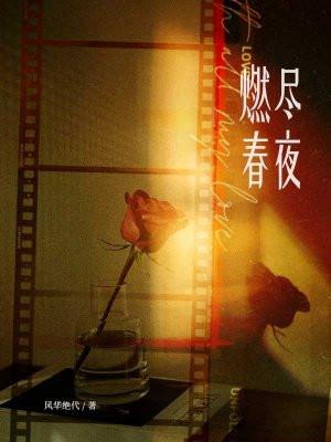 燃尽春夜叶安琪在线阅读