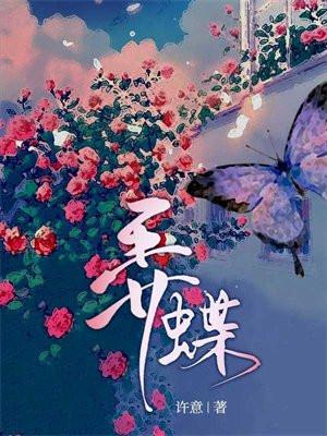 直纹稻弄蝶