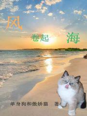猫咪的梦境