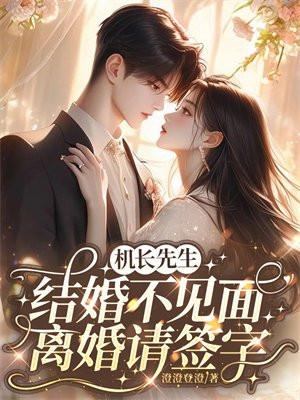 机长离婚
