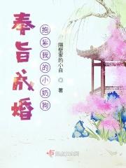 奉旨成婚