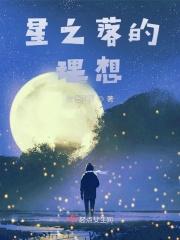 星落之地有几个碎片