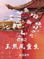 红楼之重生王熙凤晋江文学