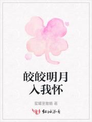 皎皎明月下一句是什么