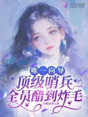 向导哨兵完结甜文