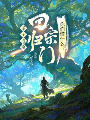 圣子到实力