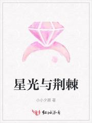 荆棘中窥见星光