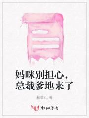 总裁爸比宠上天
