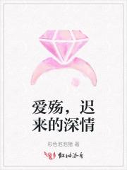 迟来的爱 情歌