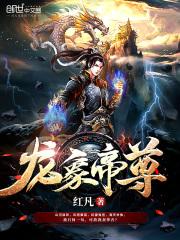 龙象天尊茶叶价格