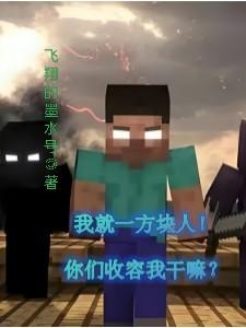 我就一方块人