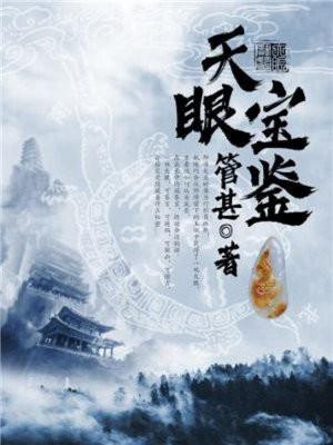 天眼宝鉴TXT全文
