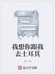 我想和你去浪漫的土耳其