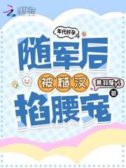 推荐年代军婚糙汉文