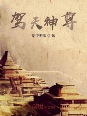 鸿天神尊大结局