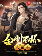 金刚不坏大寨主地图