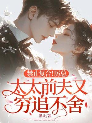厉太太我们复婚吧玲歌著
