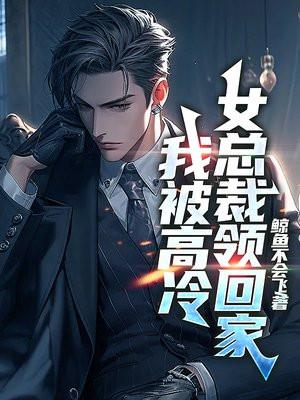 我的高冷女总裁第一章